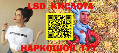 крисы Кулебаки