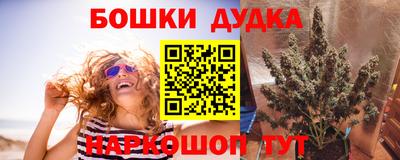 крисы Кулебаки