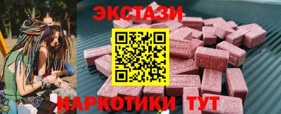 крисы Кулебаки